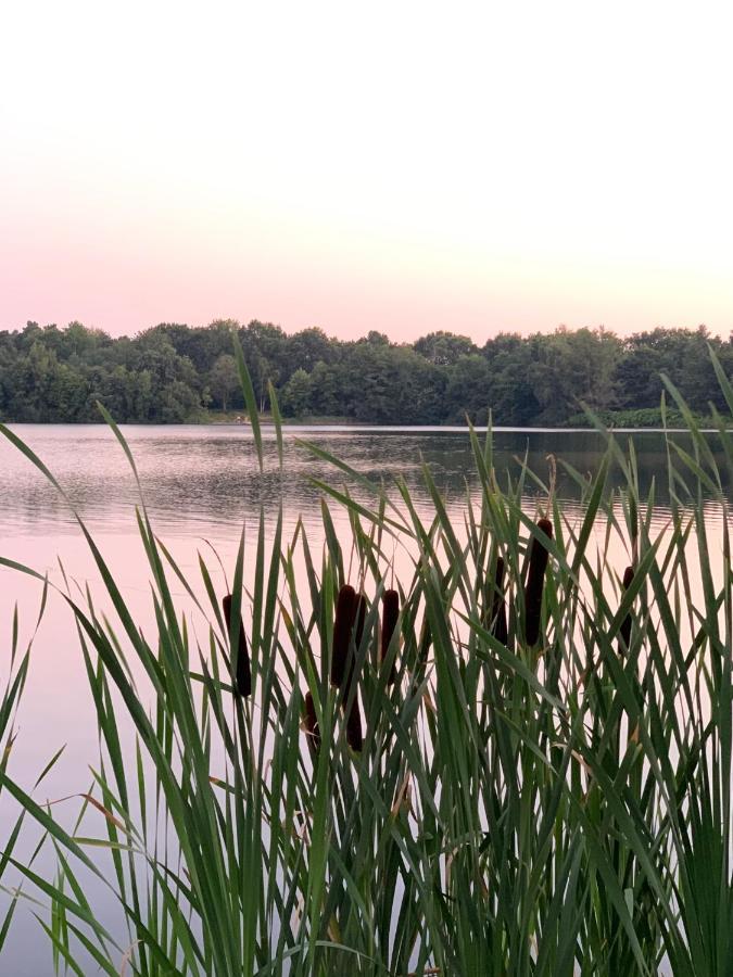 Ferienhaus Seestern Am Harkebruegger See Mit Sauna Und Kamin Barssel  Exteriör bild