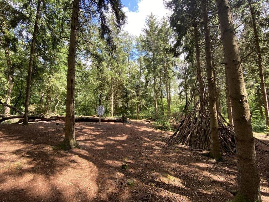 Ferienhaus Seestern Am Harkebruegger See Mit Sauna Und Kamin Barssel  Exteriör bild